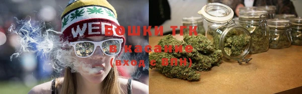 шишки Абаза