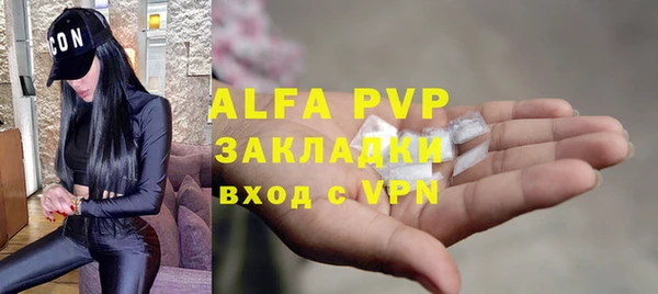 шишки Абаза