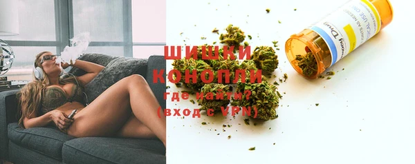 шишки Абаза