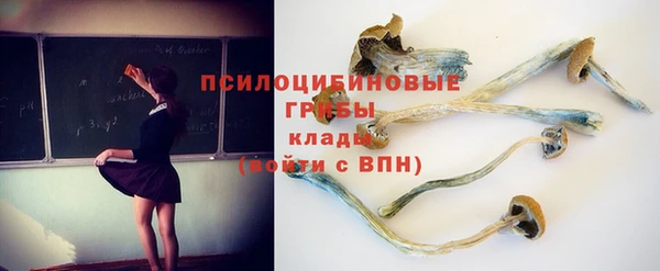 спиды Абдулино
