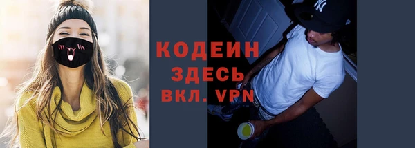шишки Абаза