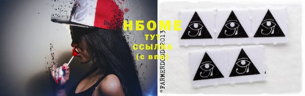шишки Абаза