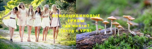 шишки Абаза