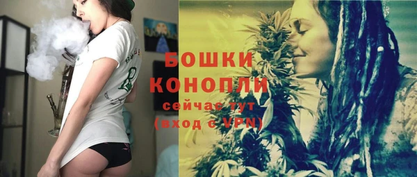шишки Абаза