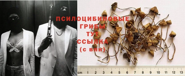 спиды Абдулино