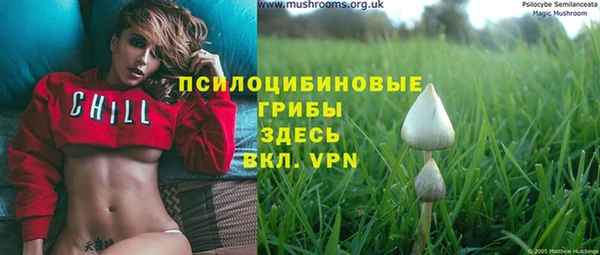 шишки Абаза