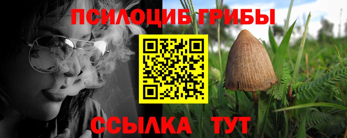 Псилоцибиновые грибы Psilocybine cubensis  Вход с VPN  Электросталь 